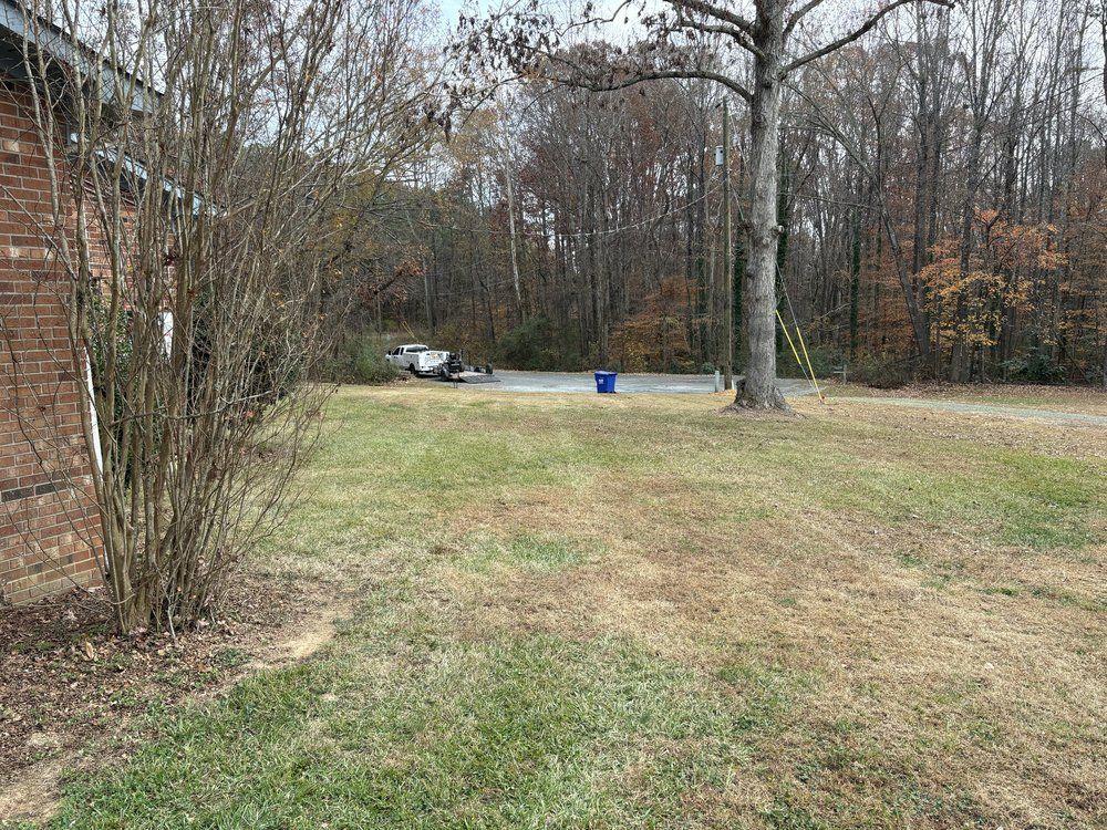Grassy yard with bare trees, a blue trash can, and a trailer next to a brick building.