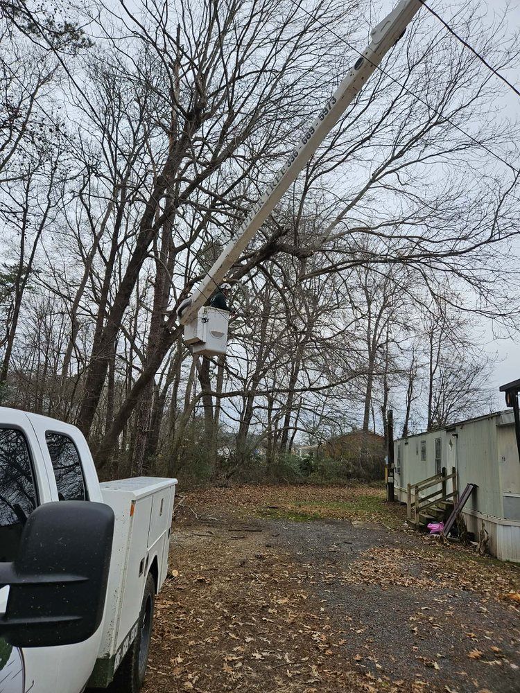 White utility truck with an extended boom, trimming branches near a power line and trees on a cloudy day.