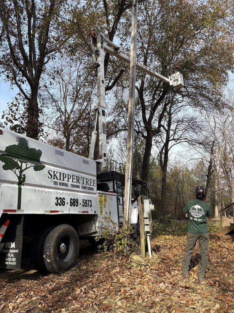 Tree service truck with a raised arm working on a tree. A worker stands nearby. Outdoors on a sunny day.
