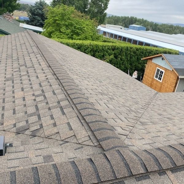 Close-up of a brown shingled roof with a slight slope, trees, and buildings in the background.