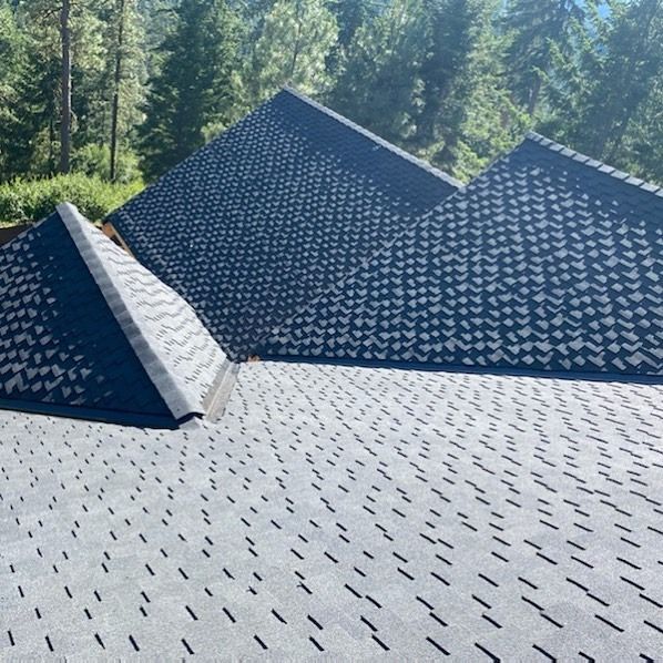 Dark gray shingle roof of a house with multiple peaks, set against a green forest backdrop.