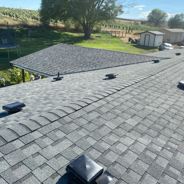 Gray shingle roof with several vents. A grassy yard and vineyard are in the background.
