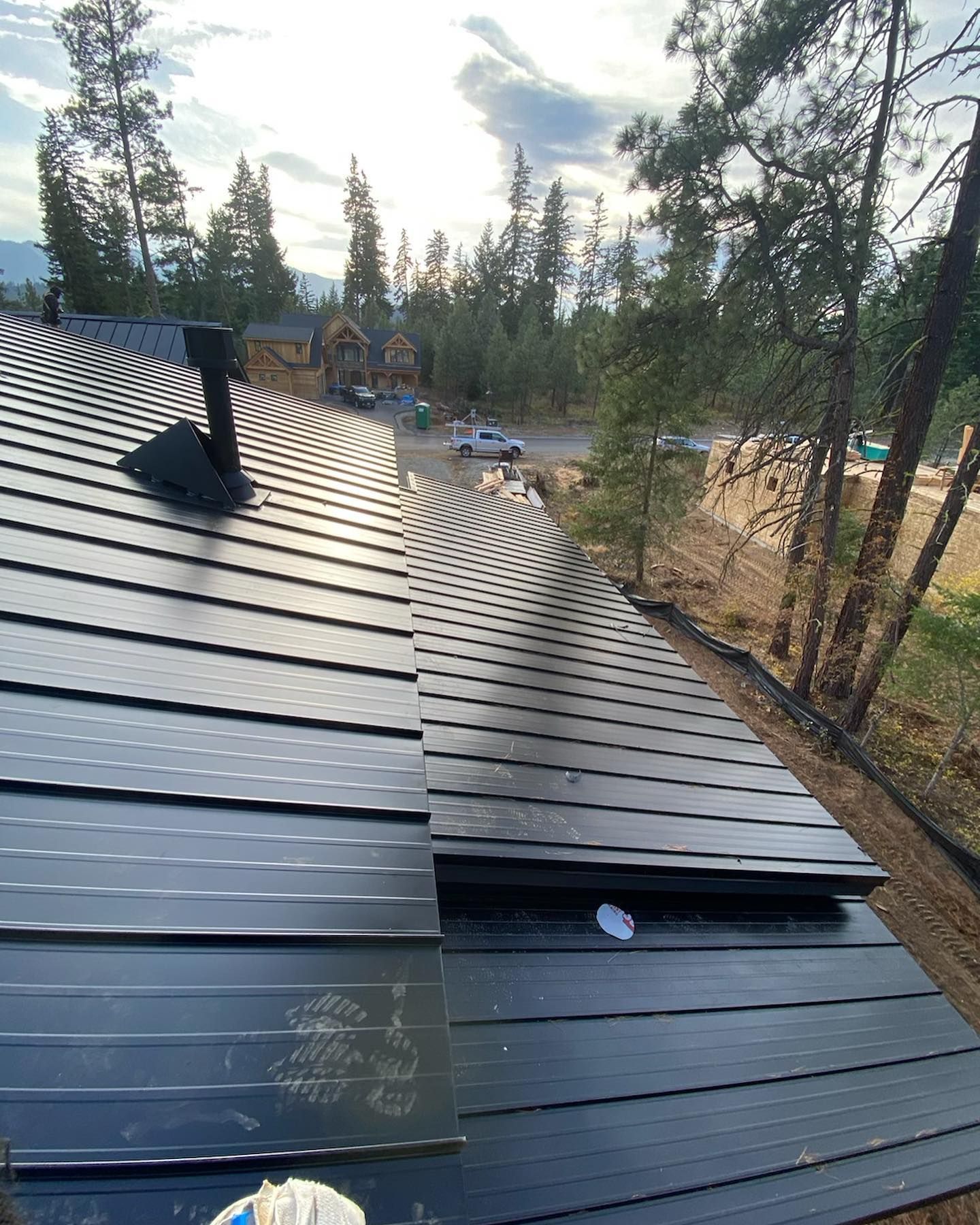 Black metal roof with a chimney, in a forest setting with other houses visible in the distance.