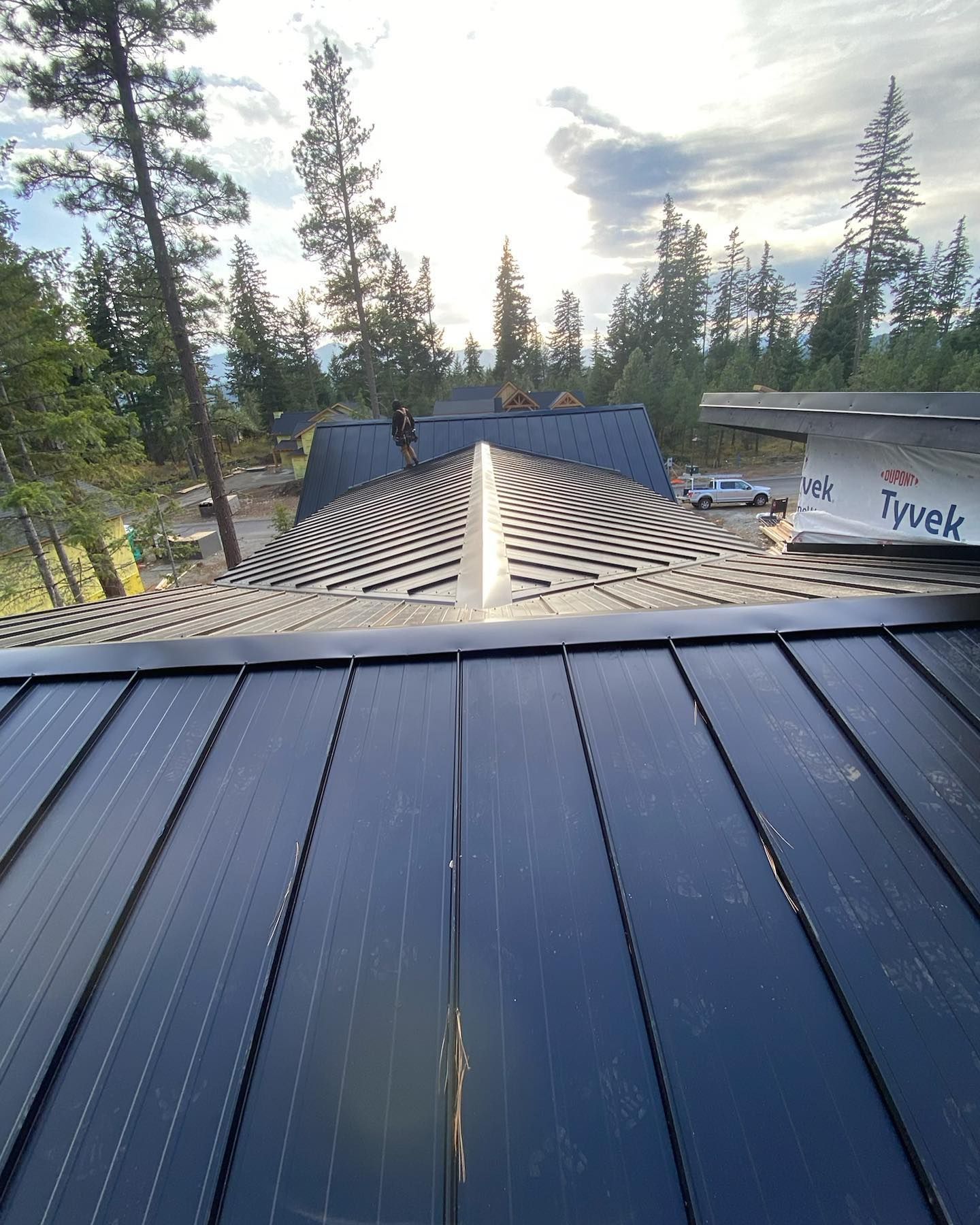 Black metal roof with solar panels, set in a forest, people on roof.