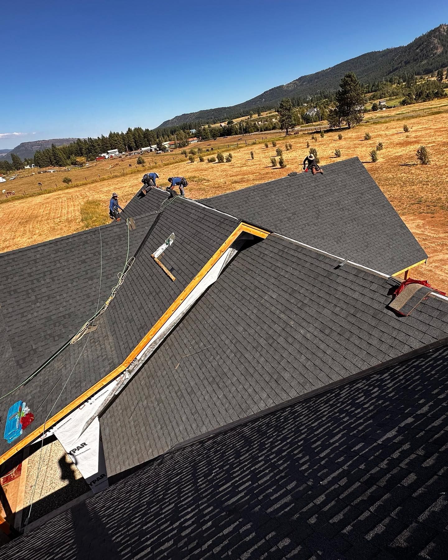 Roofers installing asphalt shingles on a multi-gabled roof, with a rural landscape in the background.