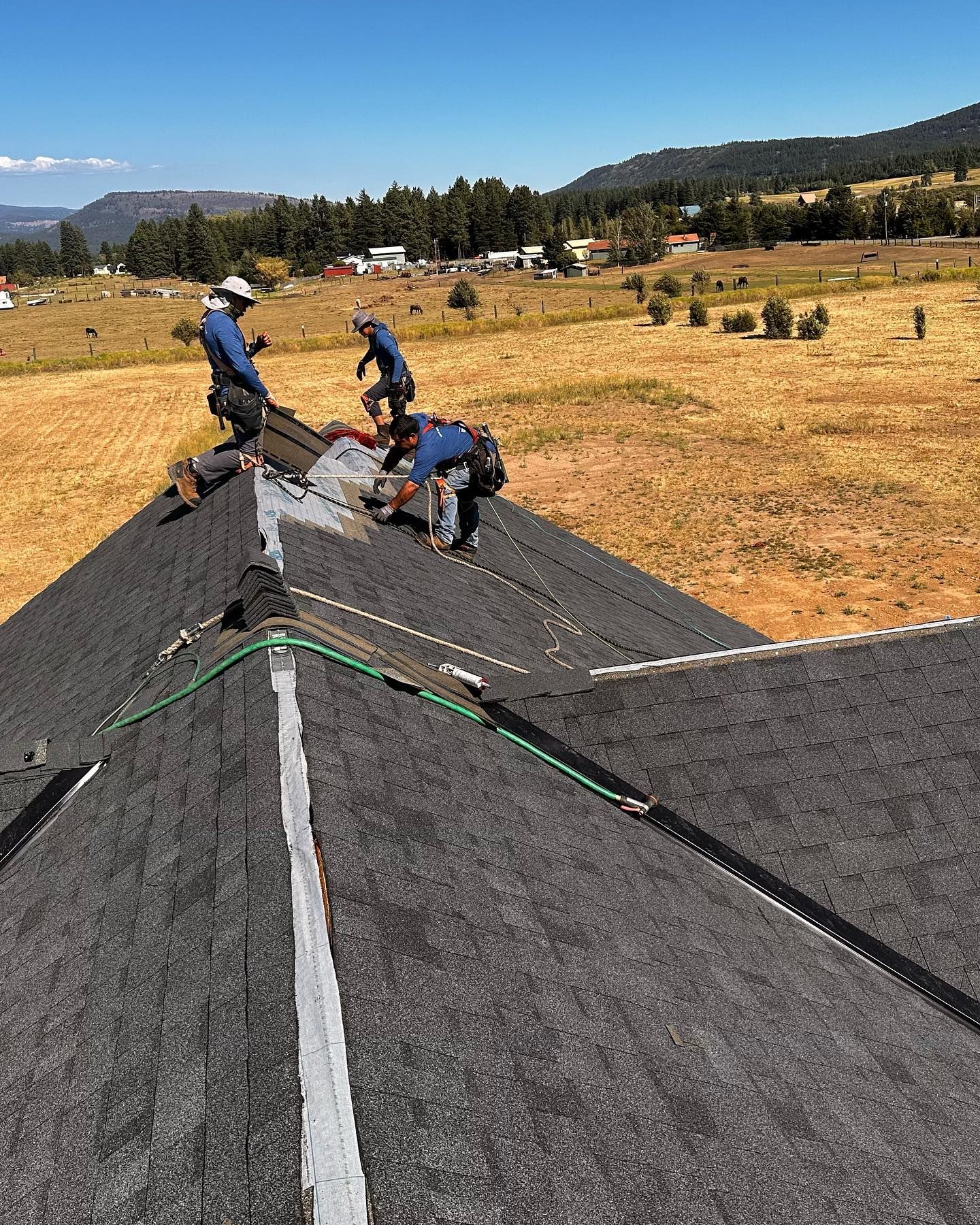 Roofers installing shingles on a roof under a blue sky, with a field and distant trees in the background.