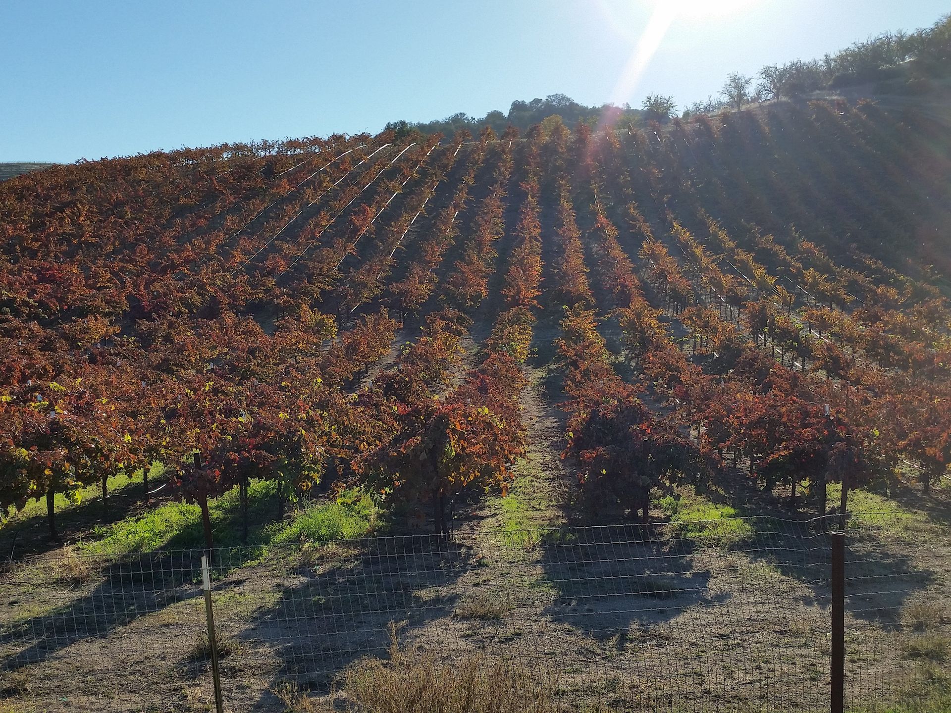 Alliance Septic Service | Septic Maintenance | San Luis Obispo