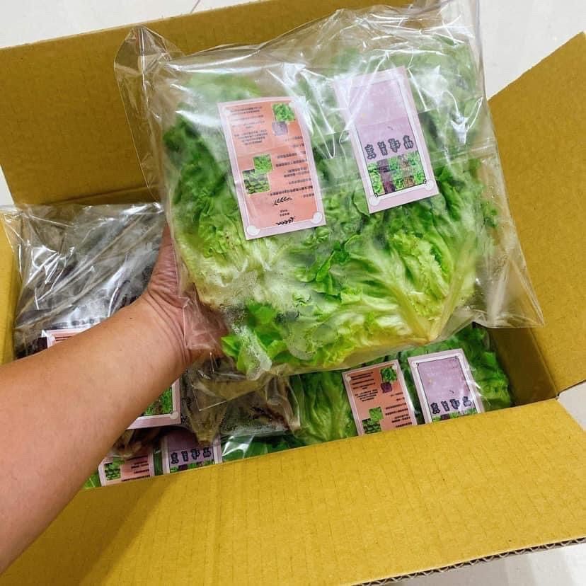 樂境美生菜組合箱