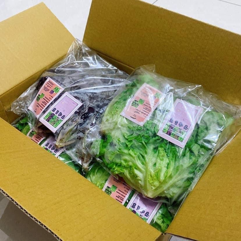 樂境美生菜組合箱