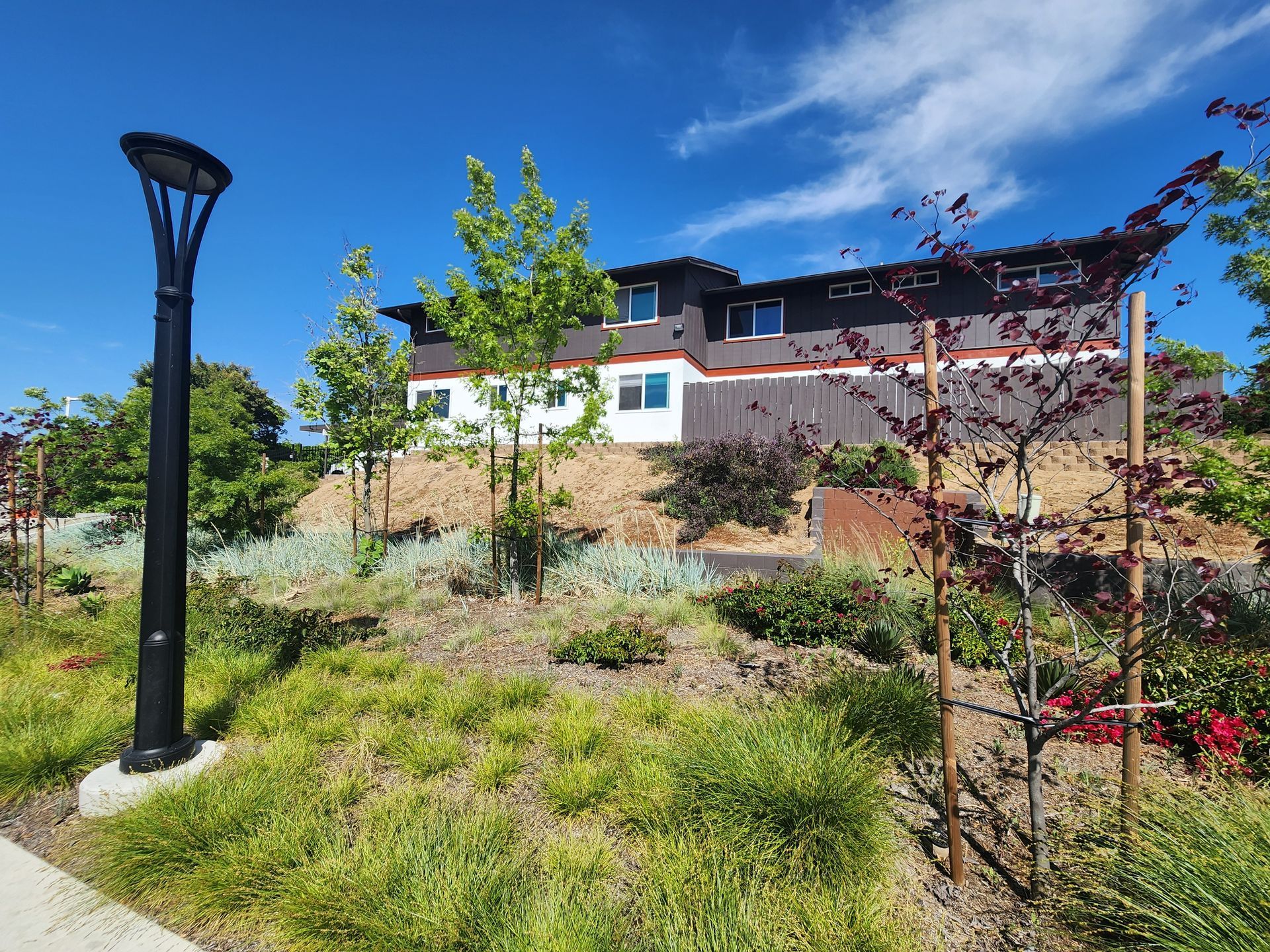 Building on a hillside with landscaping, blue sky, and a black lamppost.