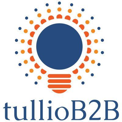 tullioB2B LLC logo