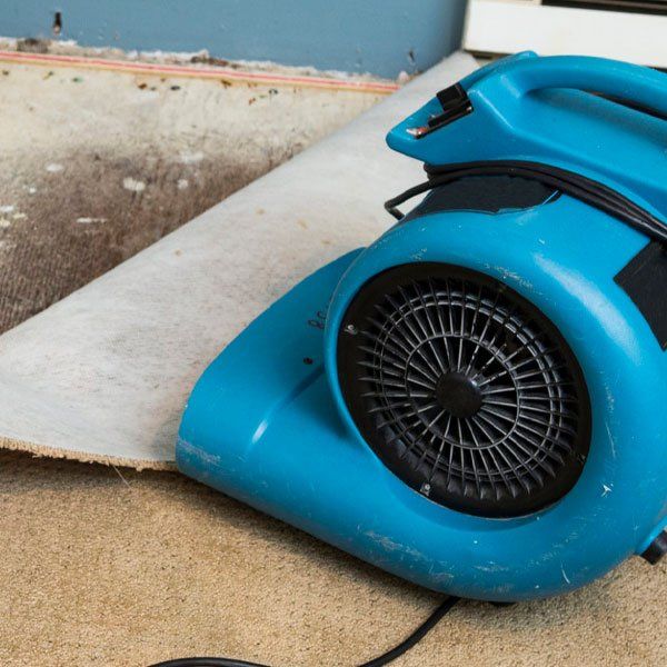 a blue fan is sitting on the floor next to a carpet .