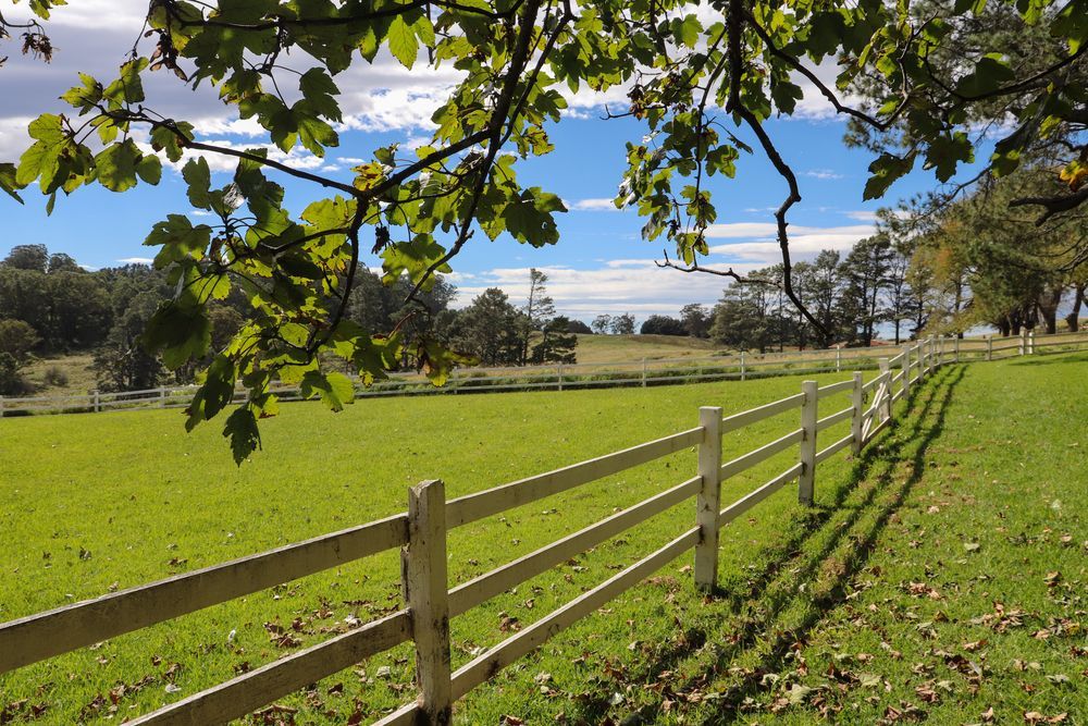 Green field with white fence, trees, and bright blue sky peeking through leaves.