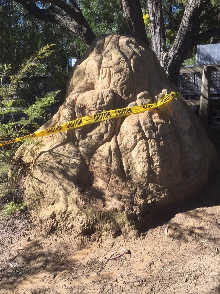 Large, brown termite mound with yellow caution tape, next to a tree, outdoors. — Billy Lanes Pest Control Services in Kiama, NSW