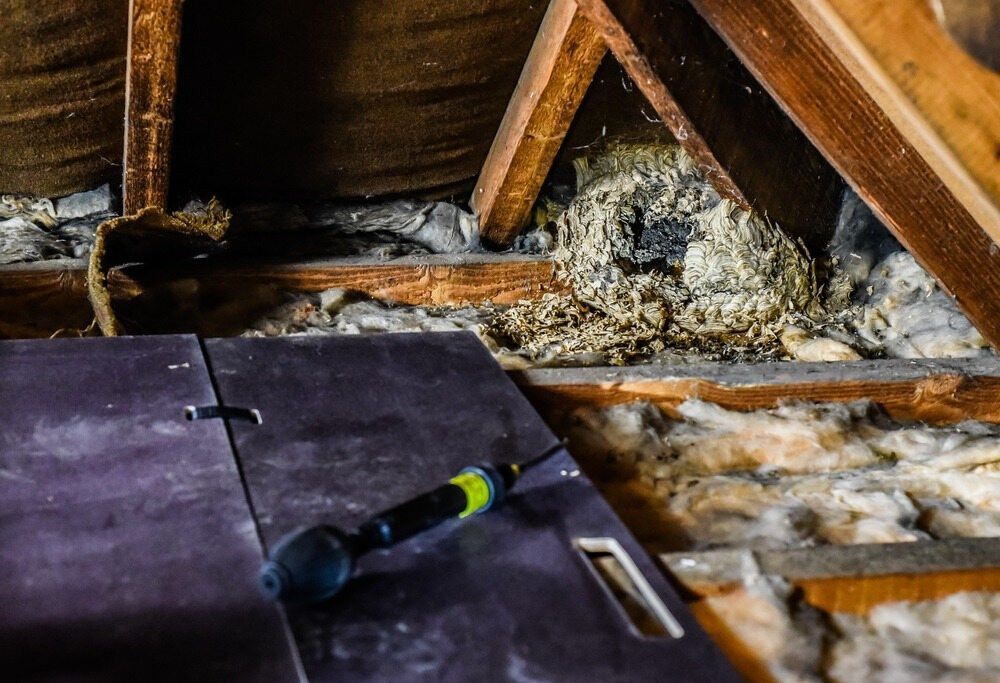 Attic interior: insulation, nest-like debris, wooden beams, a partially visible tool, and a dark surface.