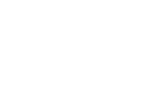 Deck building pros saskatoon logo