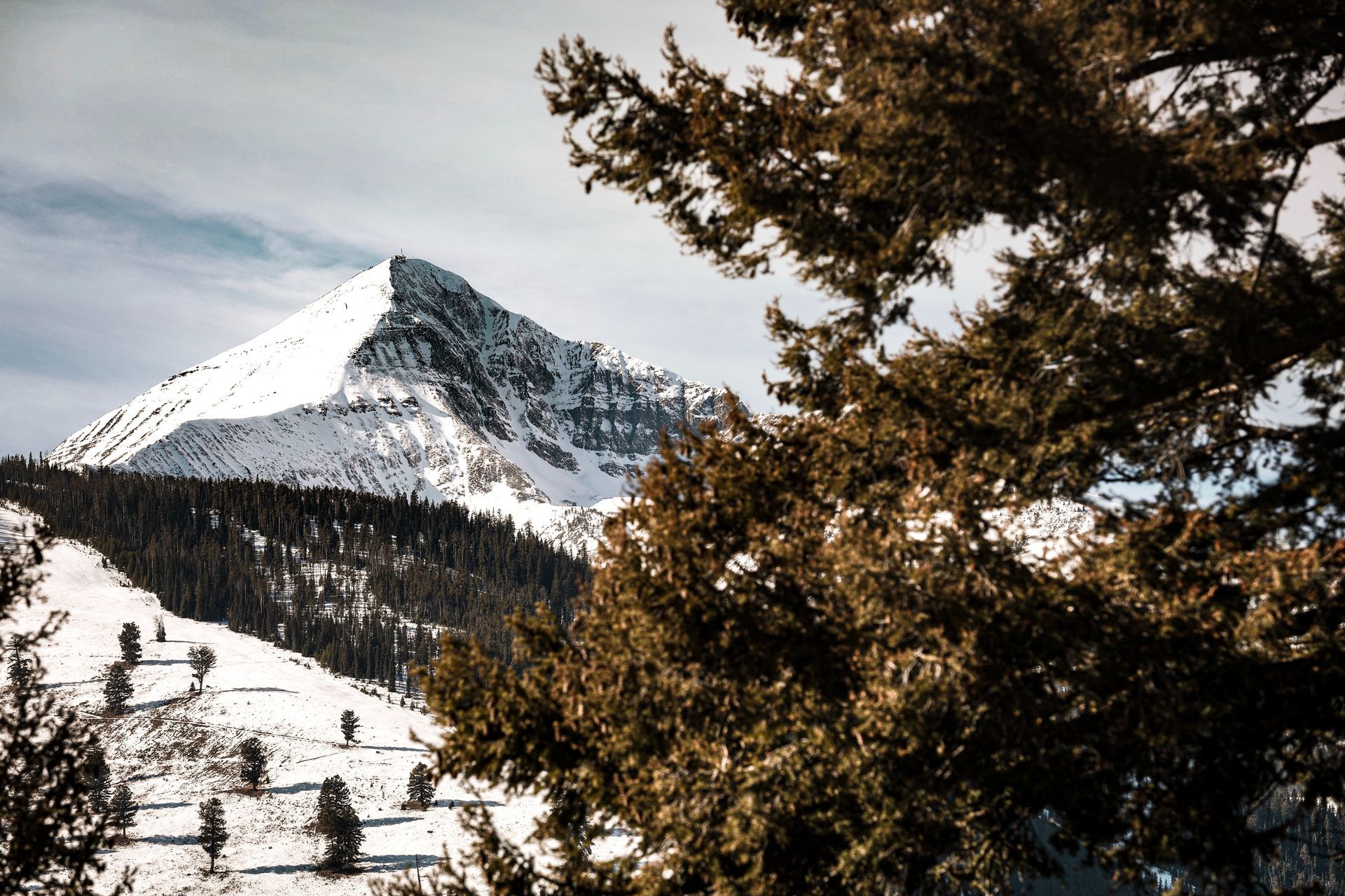 a snowy mountain with trees in the foreground and a ski lift in the background .