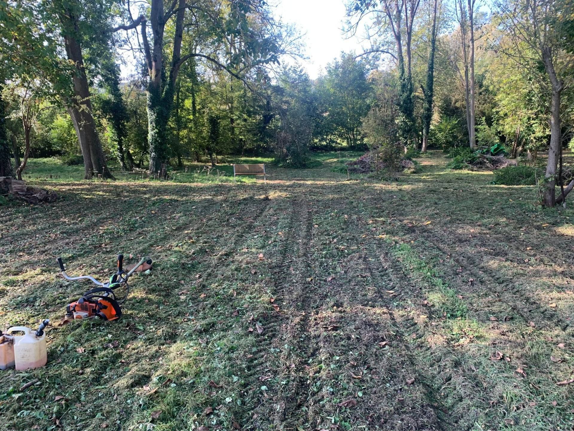 Champ défriché avec une tronçonneuse et des arbres en arrière-plan. Herbe verte et ciel couvert.