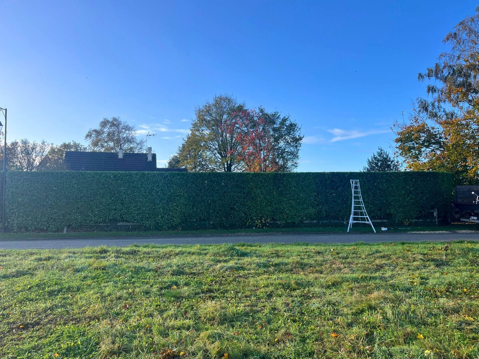 Une haie verte se détache sur un ciel bleu, une échelle est appuyée contre elle sur un talus herbeux.