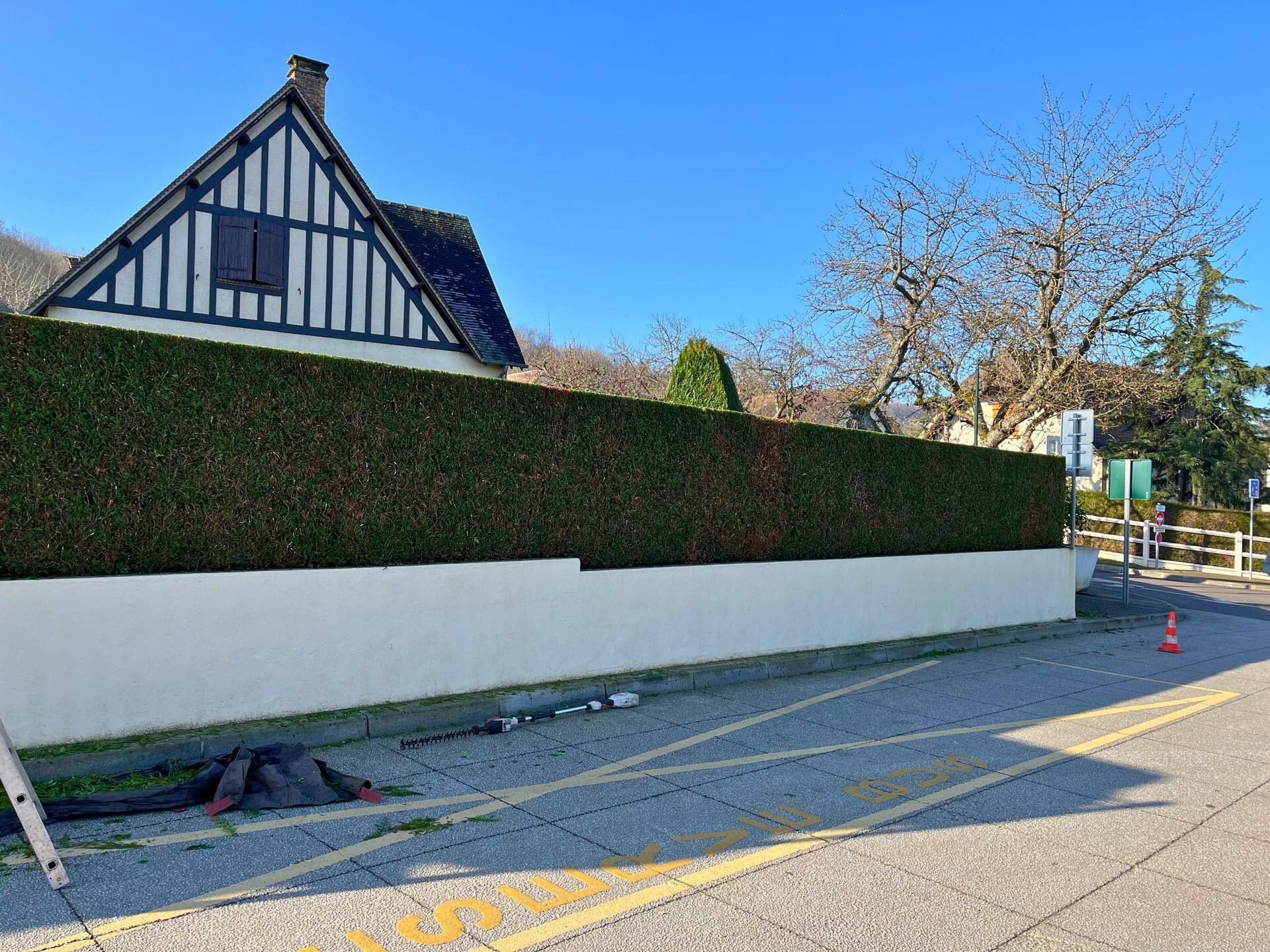 Une personne taille un buisson vert avec un taille-haie dans un jardin.