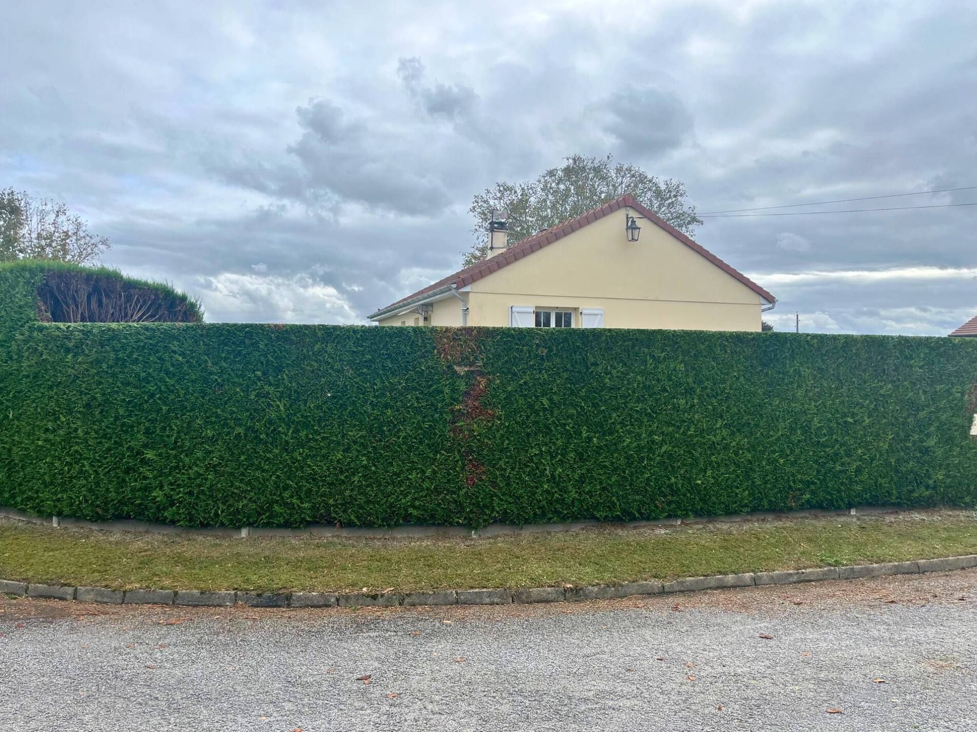 Une haie verte devant une maison beige sous un ciel nuageux.