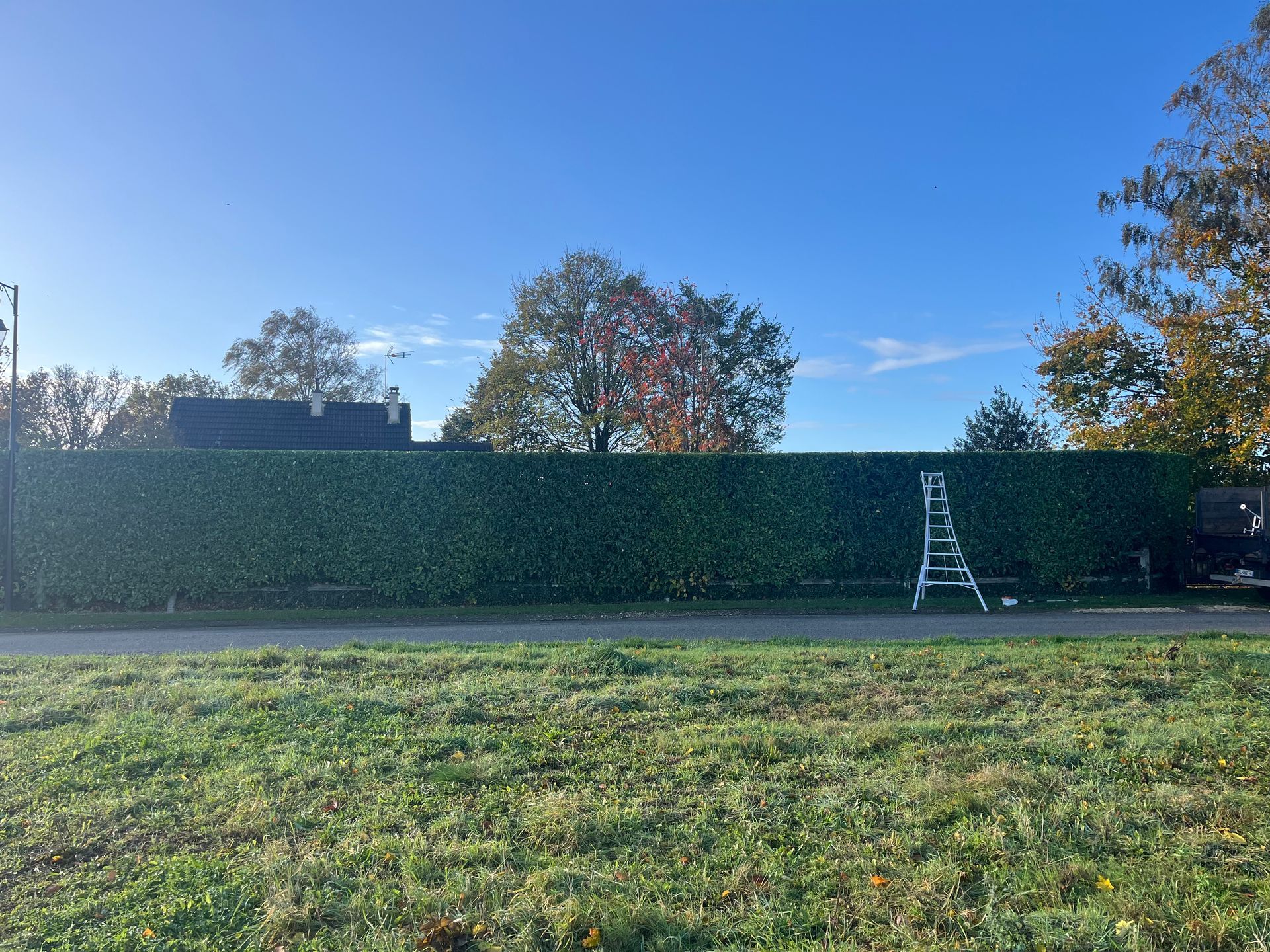 Une haie verte devant une maison beige sous un ciel nuageux.