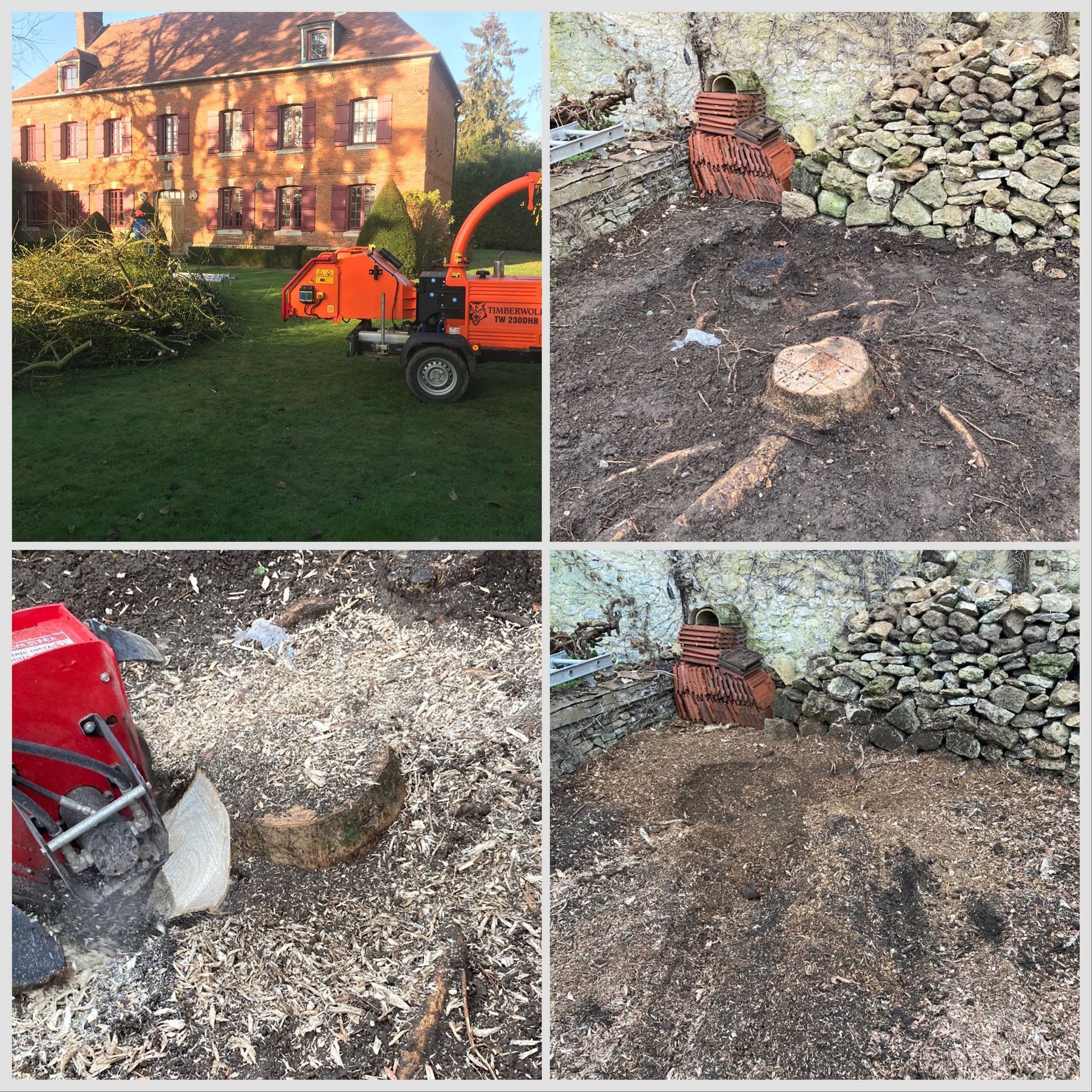 Service d'élagage : broyage des branches sur la pelouse à l'aide d'un broyeur à bois orange. Dessouchage et broyage du bois pour le paillis.
