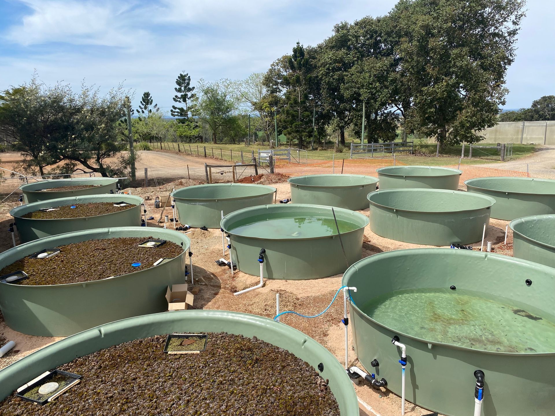 A dozen green open water tanks are placed in a back field — VR Marsden Plumbing in Red Rock, NSW