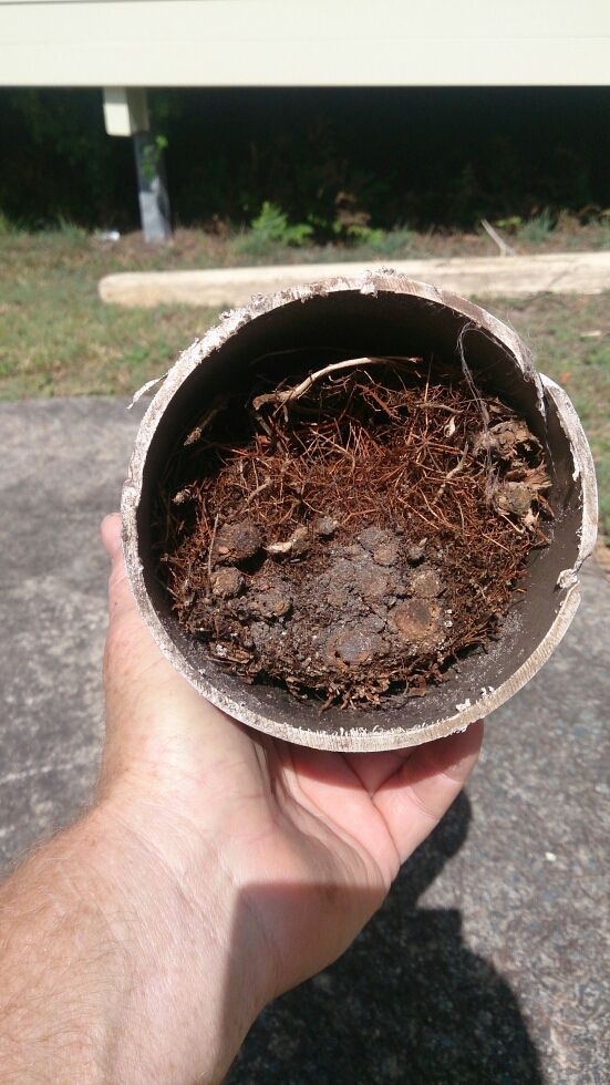 Hand holding a brown, cylindrical object filled with brown, fibrous material and dark soil— VR Marsden Plumbing in Red Rock, NSW
