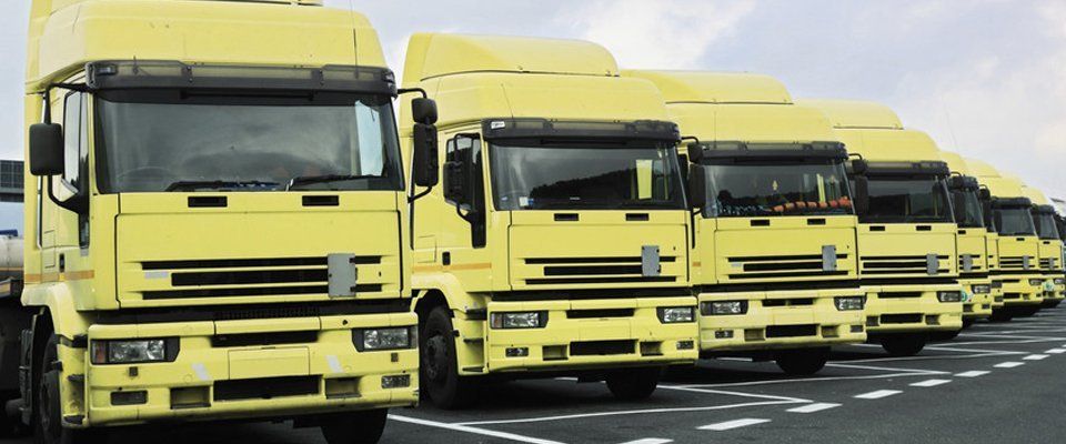 fleet of yellow lorries