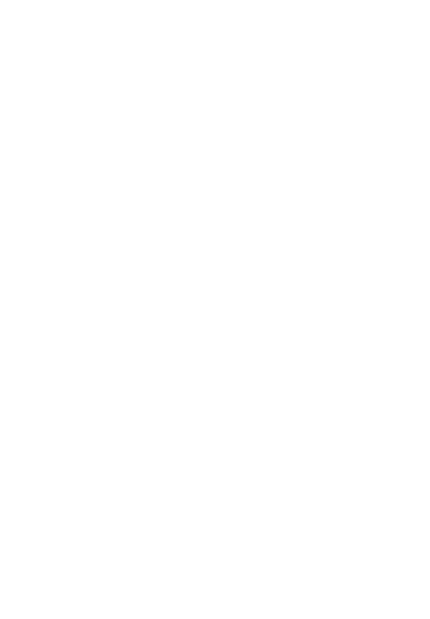 5T Rentals