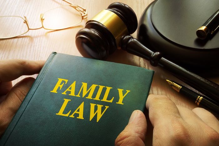 Family Law Book, Family Law Baton Rouge LA