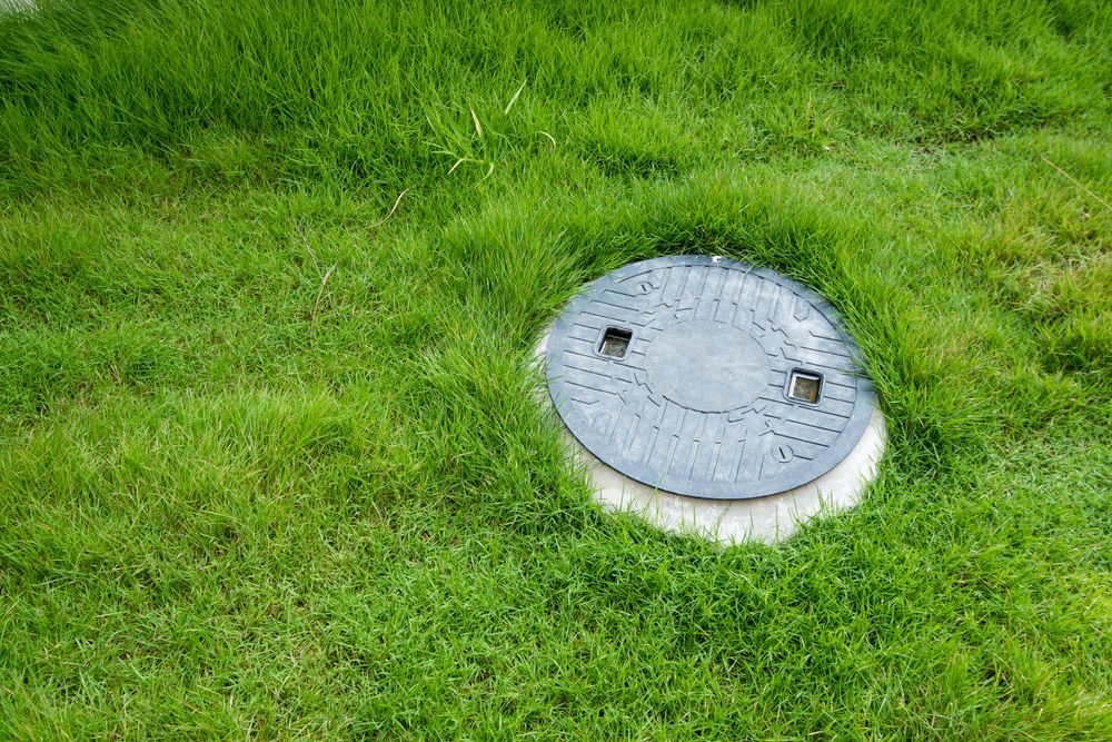 Round Gray Drainage Cover in Bright Green Grass — Shreks Septic Services in Southbrook, QLD