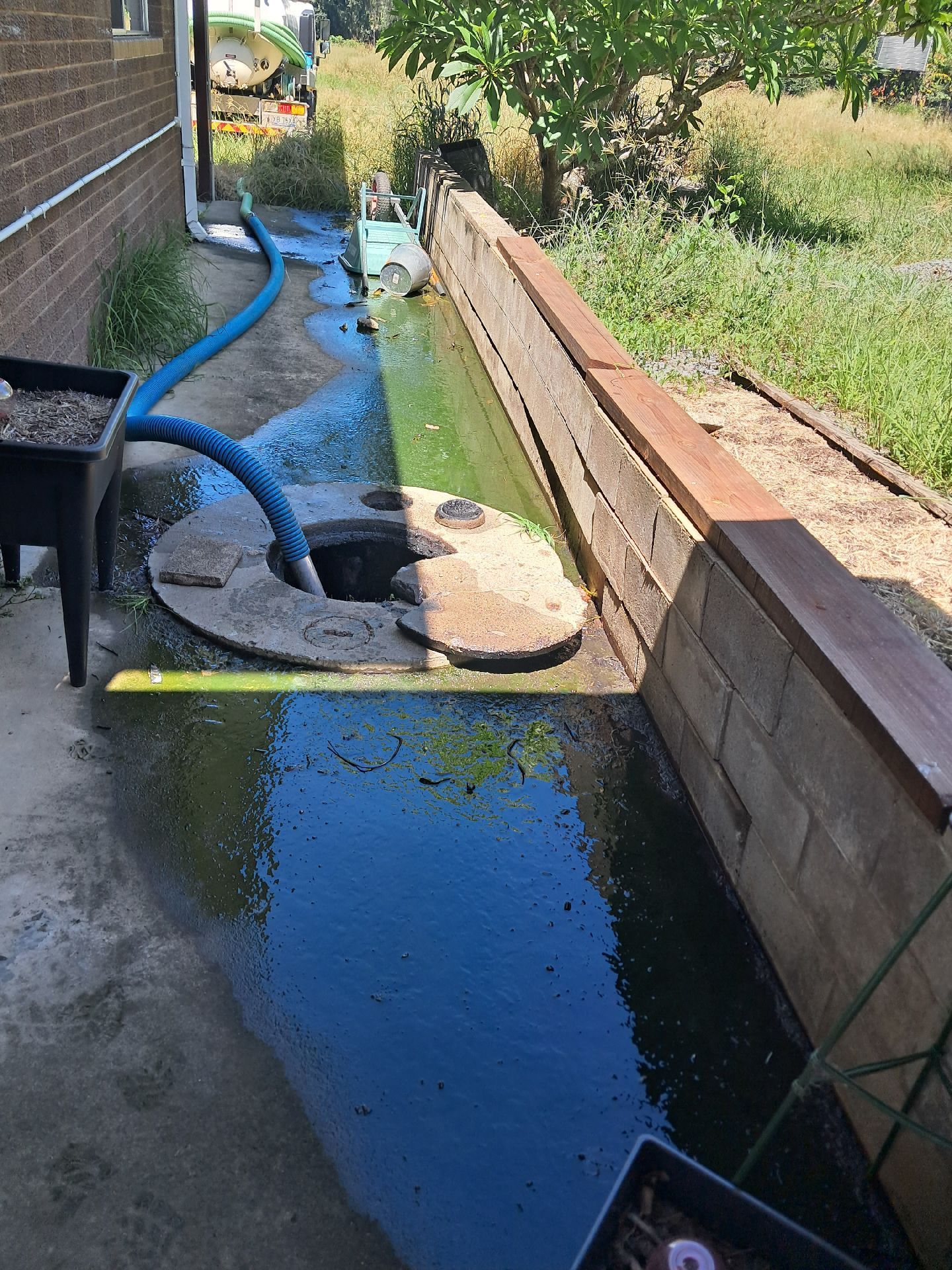 Flooded Concrete Walkway Beside a Brick House — Shreks Septic Services in Dalby, QLD