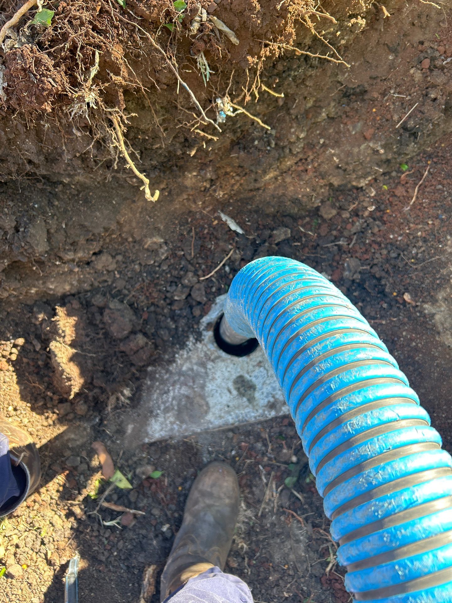 Blue Corrugated Hose in a Dirt Trench — Shreks Septic Services in Crows Nest, QLD