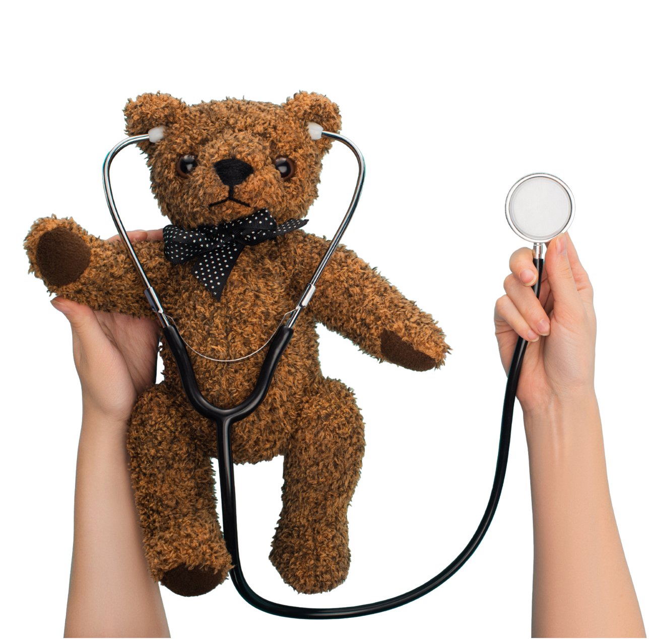 Teddy bear wearing stethoscope, being examined.