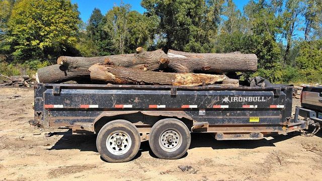 Firewood logs