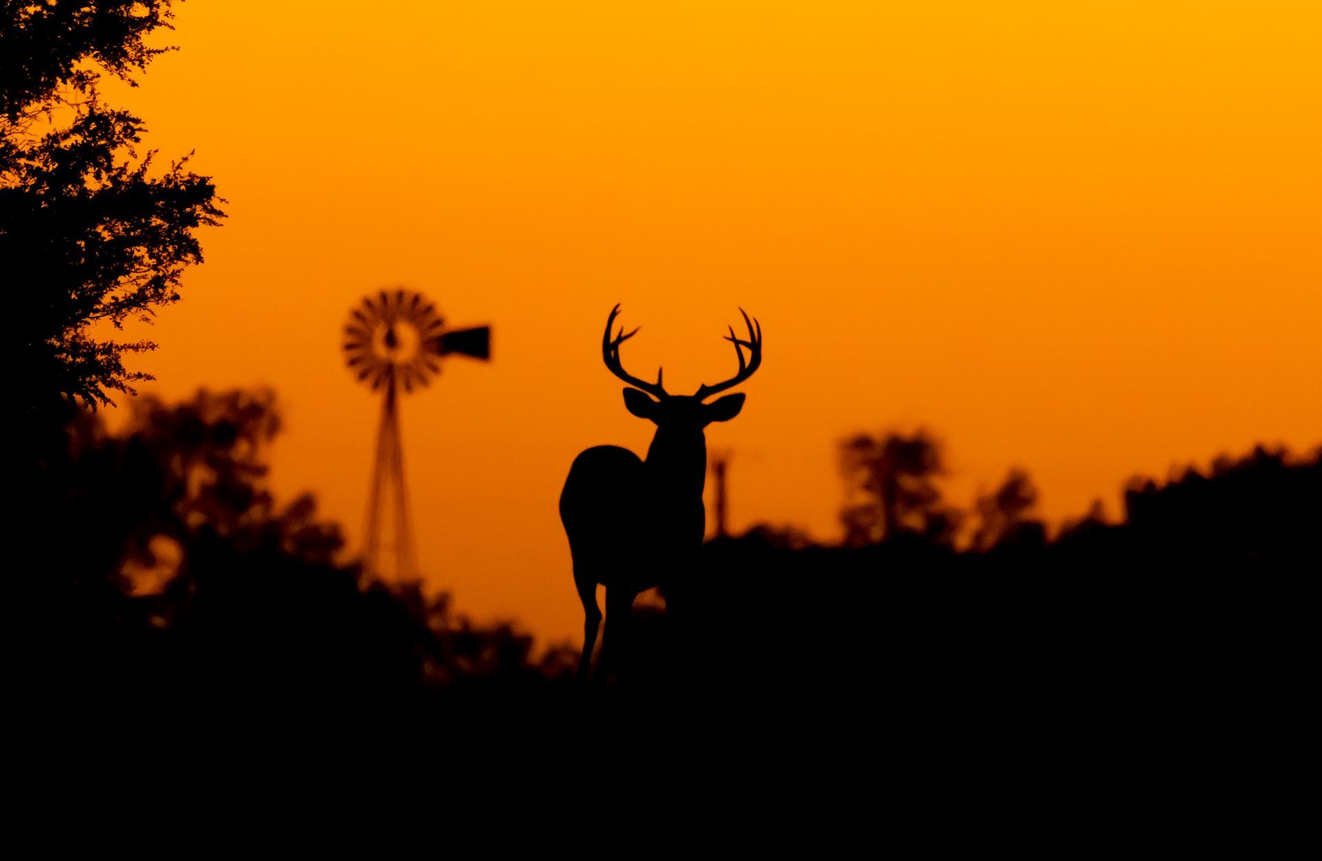 best deer blinds in Charlotte, MI