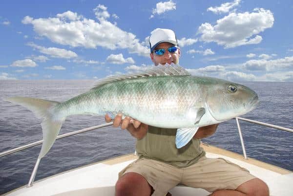 A Man is Sitting on a Boat Holding a Large Fish — Zen Luxury Retreats in Darwin City, NT