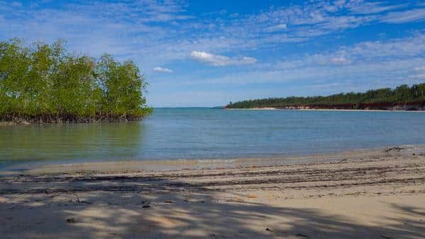 A Beach With a Palm Tree — Zen Luxury Retreats in Darwin City, NT