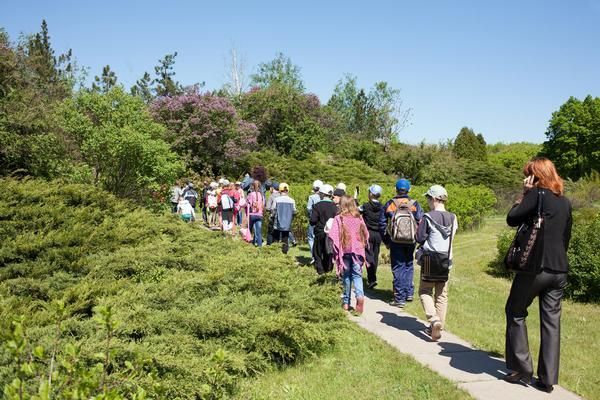 People Having a Walking Tour Around the Botanical Garden — Zen Luxury Retreats in Darwin City, NT