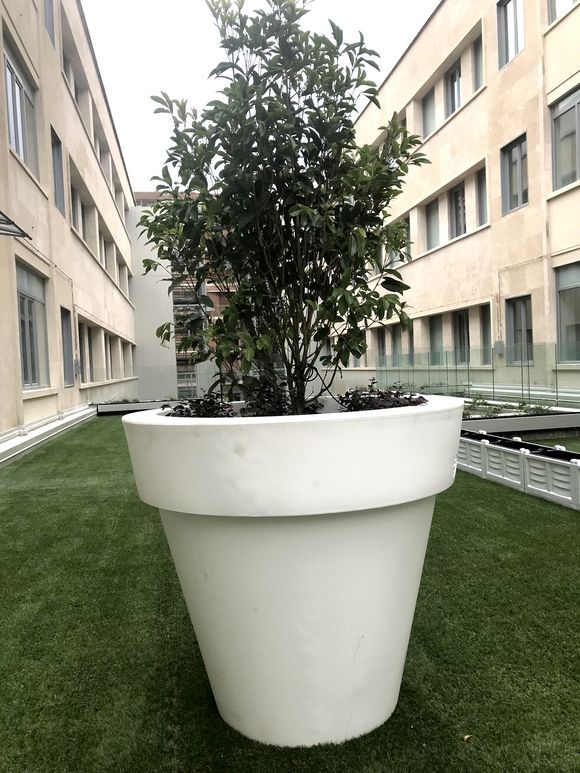 centro servizi anziani