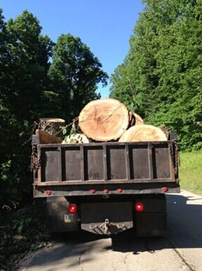 Truck — Tree Services in Verona, PA