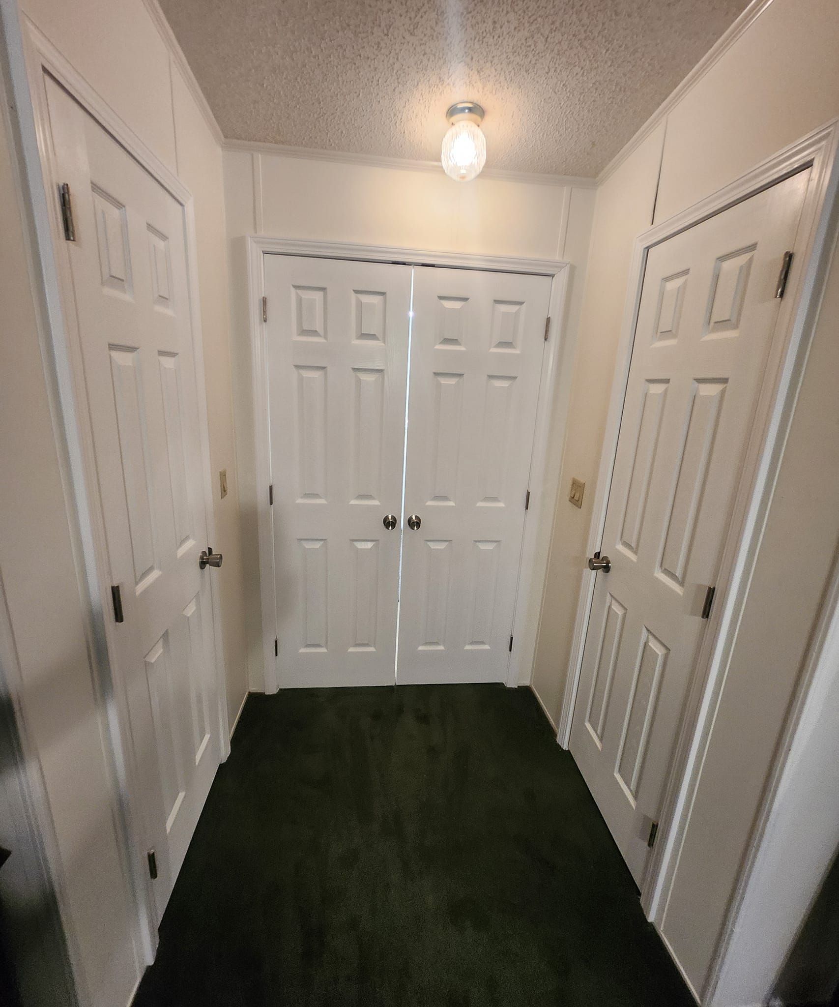 Narrow hallway with green carpet, white doors, and a ceiling light.