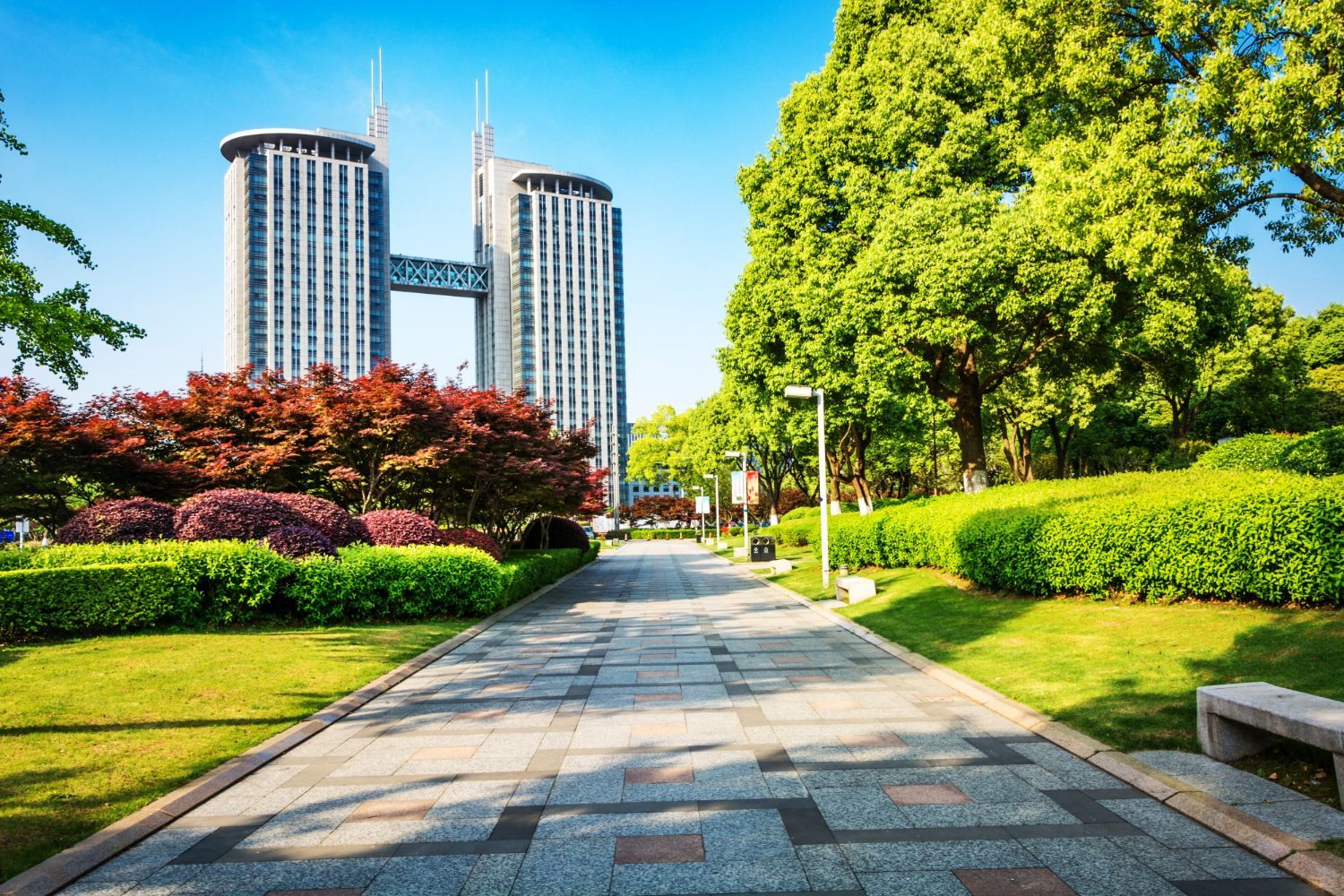 Commercial Landscaping