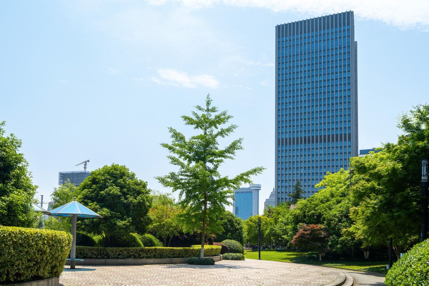 Commercial Landscaping