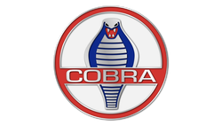 Cobra Repair Cape Coral, FL