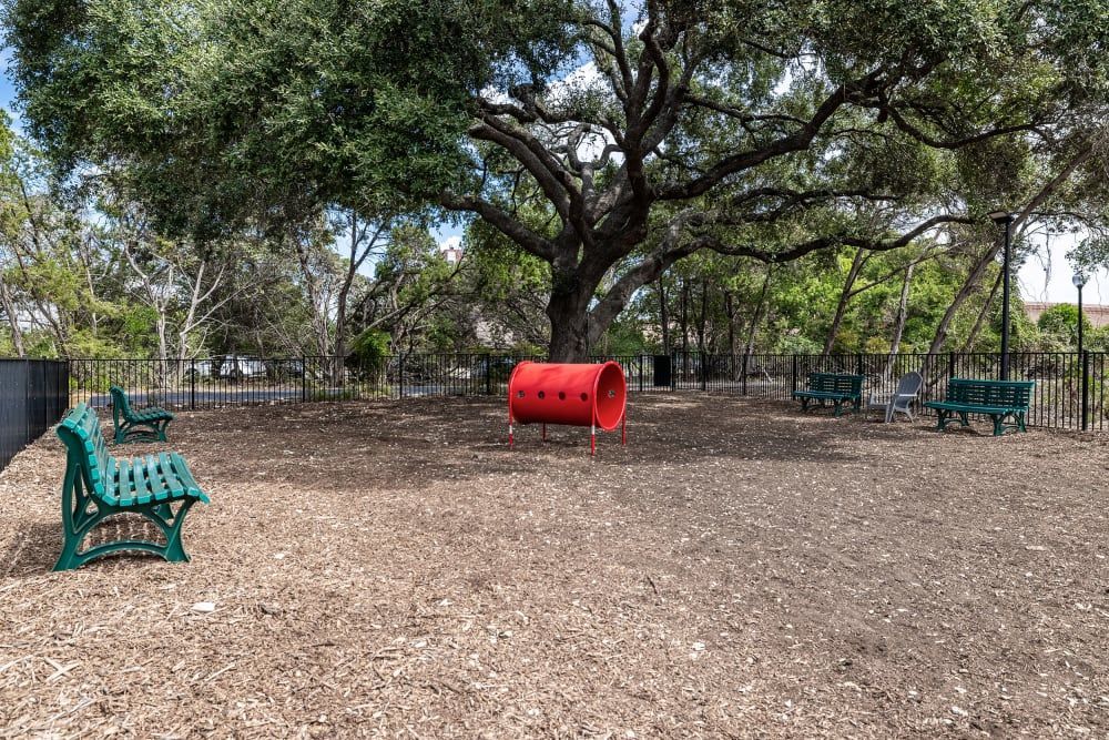 Empty children's playground with a large shady tree, featuring a red crawl-through tube, two green benches, and wood chip ground cover at Marquis at Caprock Canyon in Austin, TX.