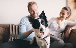 Couple Relaxing at Home with their Pet — Veterinary Hospital in chesterfield, MI