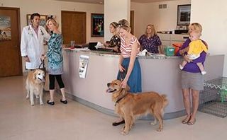Doctor and Customer — Veterinary Hospital in chesterfield, MI